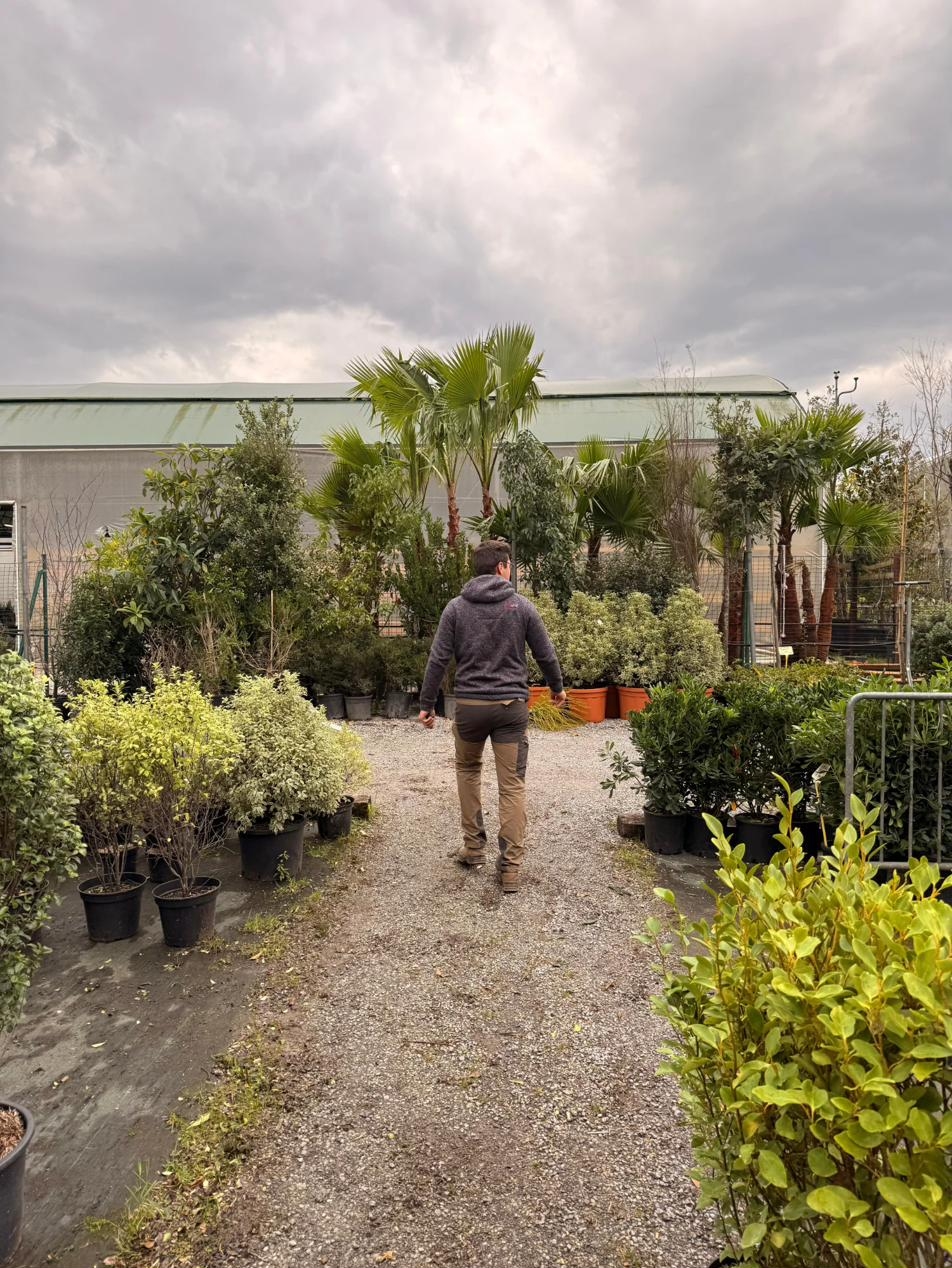 Paysagiste au travail